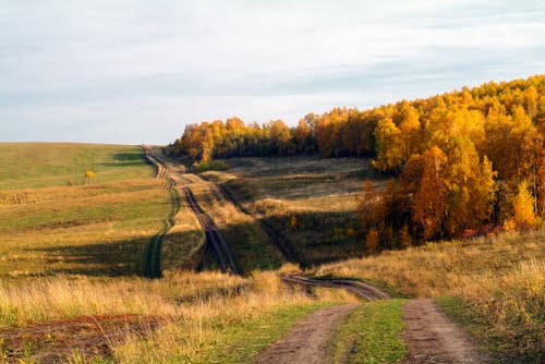 Фотографии.